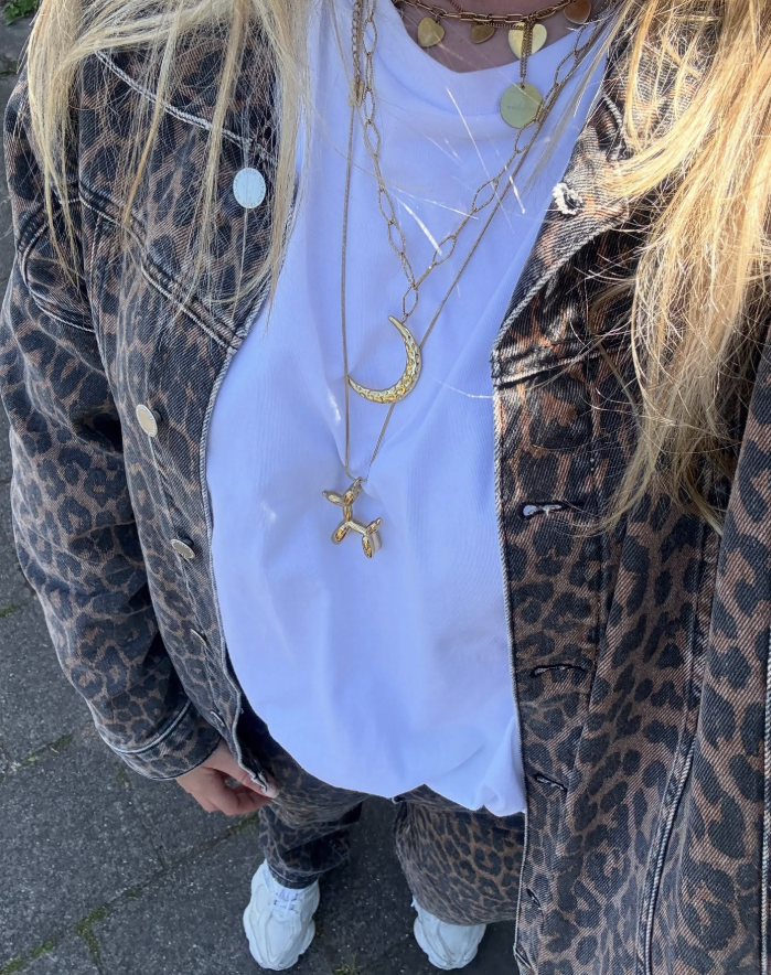 Ballon doggie lange ketting