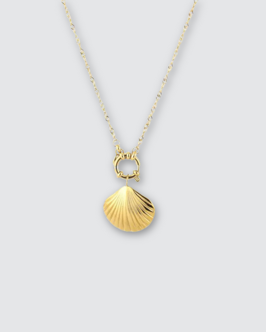 Shell ketting